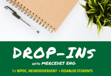 WEB Drop ins Mercedes 01